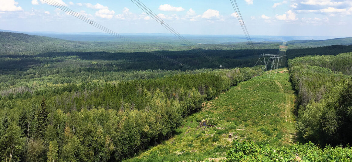 Power lines on a hill