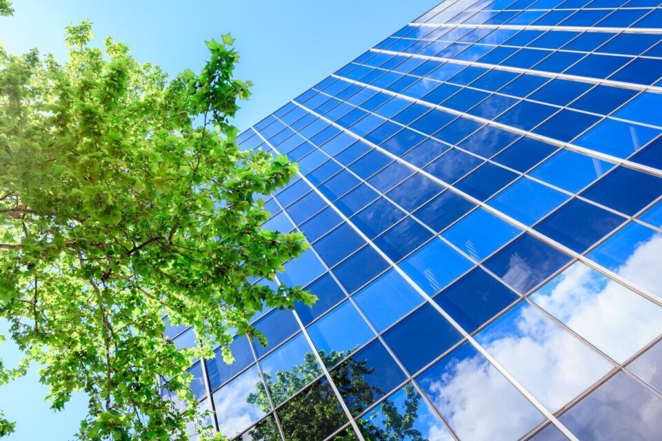 An office building with a tree next to it and a blue sky