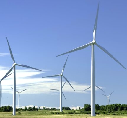 Several white wind turbines stand tall against a clear blue sky over a grassy field and trees.