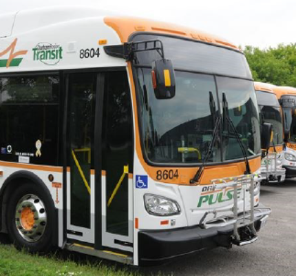 Une rangée de quatre autobus électriques Pulse de la société Durham Region Transit