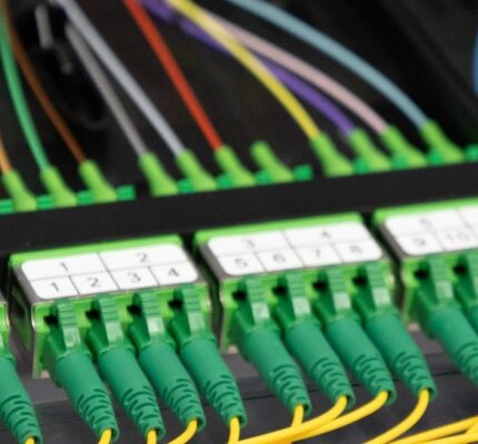 Des rangées de câbles internet à haut débit