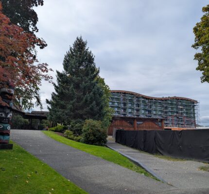 Landscaped pathway leading toward a large building under construction, with scaffolding covering the exterior. Trees with autumn foliage and a carved totem pole are visible in the foreground.