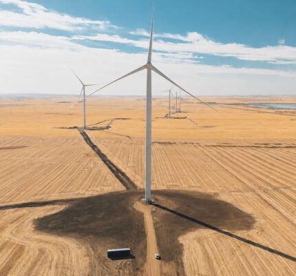 Wind turbines across a flat agricultural landscape, with green and brown fields divided by a dirt road under a bright blue sky.