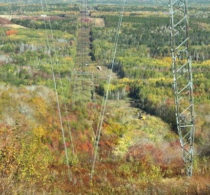 Workers in excavator digs near transmission lines cutting through forest and road.
