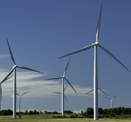 Plusieurs éoliennes blanches devant un ciel bleu clair, au-dessus d'un champ herbeux et d'arbres