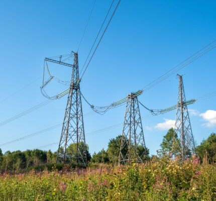 High voltage transmission infrastructure in grassy field.