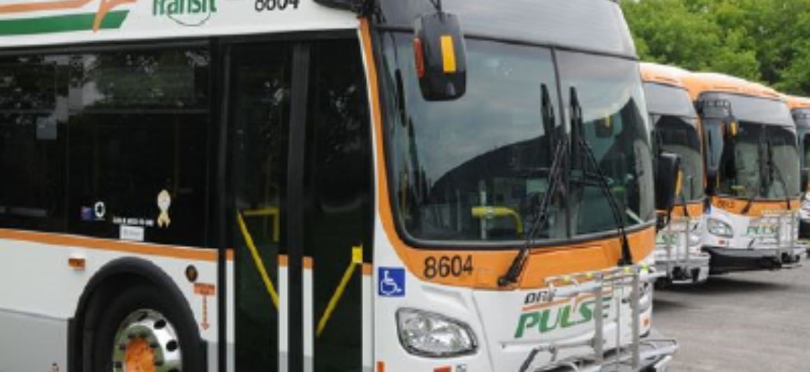 Une rangée de quatre autobus électriques Pulse de la société Durham Region Transit