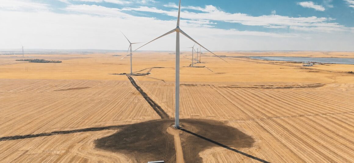 Wind turbines across a flat agricultural landscape, with green and brown fields divided by a dirt road under a bright blue sky.