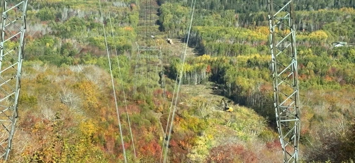 Workers in excavator digs near transmission lines cutting through forest and road.
