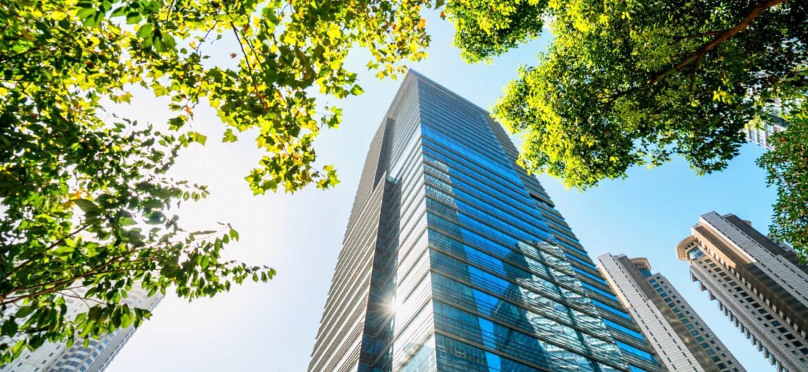 Tree in front of building