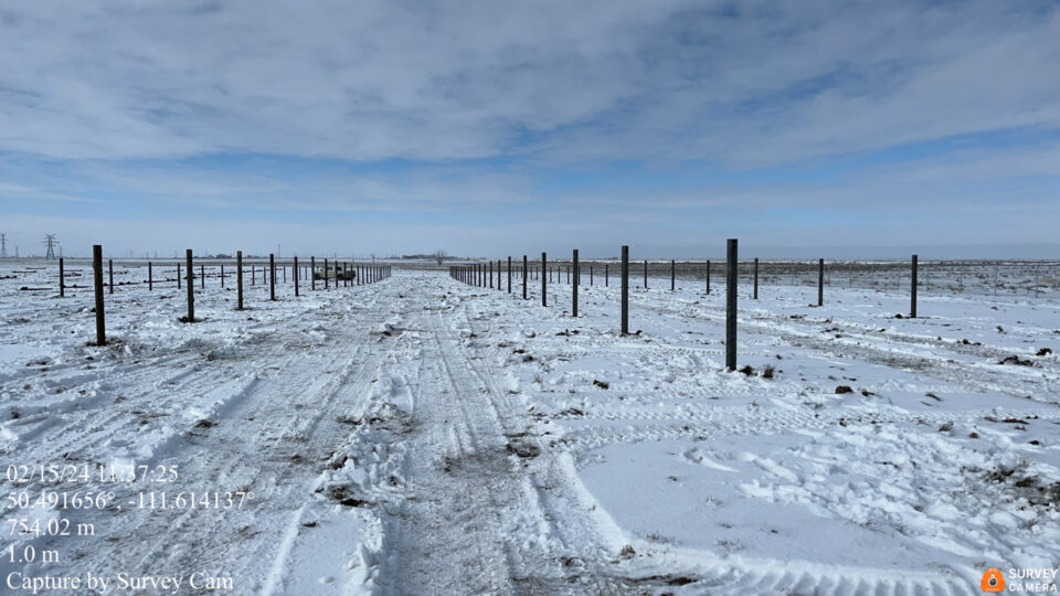 Tilley solar site in Newell, Alberta.