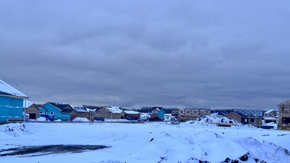 Houses being constructed with a snowy backdrop
