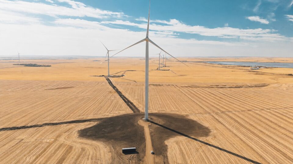 Wind turbines across a flat agricultural landscape, with green and brown fields divided by a dirt road under a bright blue sky.