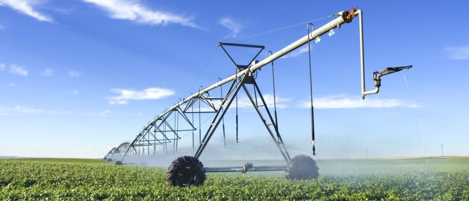 Un champ agricole avec une série d'arroseurs et un ciel bleu