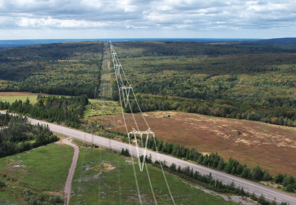 Illustration de lignes de transport aériennes traversant une forêt et une route