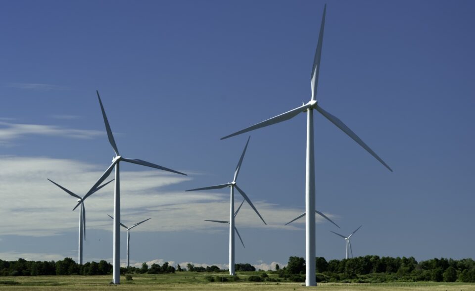 Plusieurs éoliennes blanches devant un ciel bleu clair, au-dessus d'un champ herbeux et d'arbres