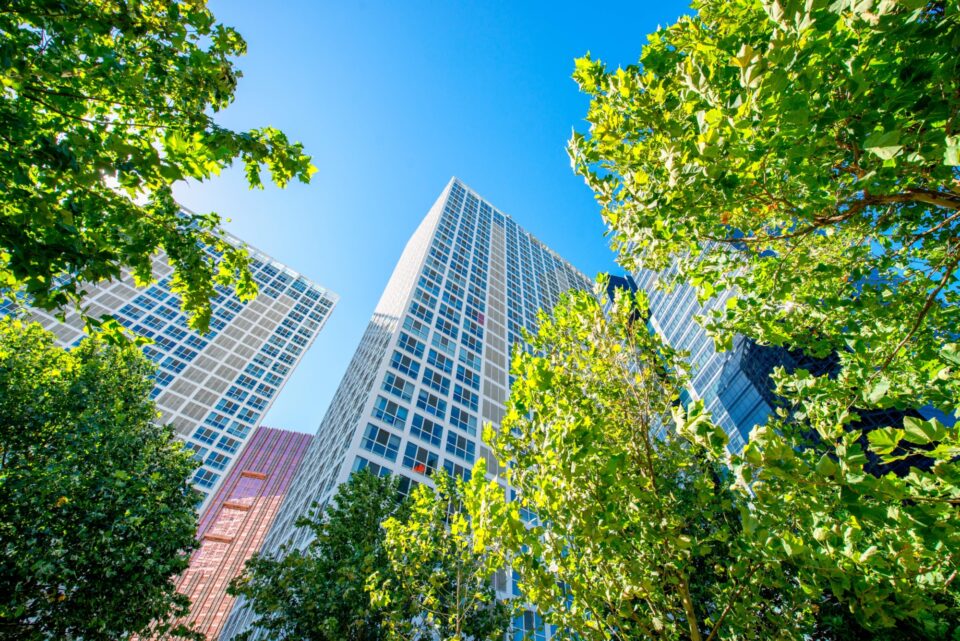 Bâtiment de bureaux commerciaux entouré d’arbres aux feuilles vertes